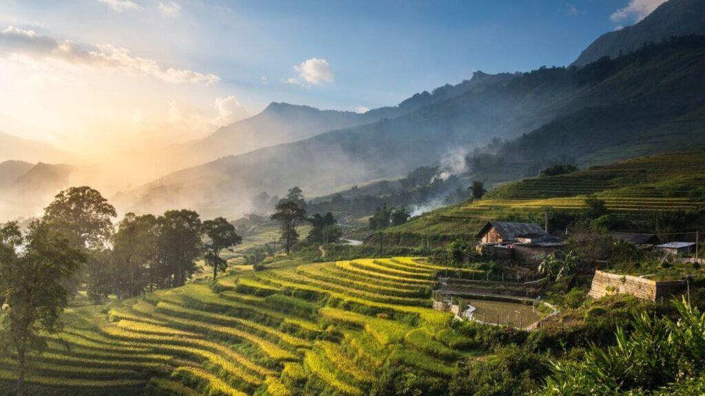 Sapa