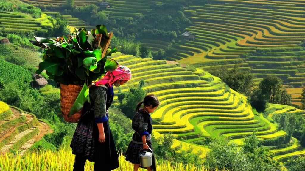 Sapa 2