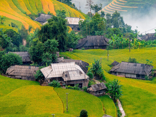 VN08